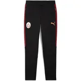 Puma GSK Evostripe Pants puma black (05) XL