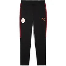 Puma GSK Evostripe Pants puma black (05) XL
