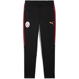 Puma GSK Evostripe Pants puma black (05) XL