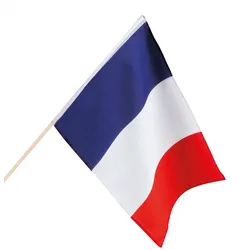 Frankreich Flagge 30 x 45cm - OS