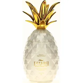 Piñaq COLADA 17% Vol. 1 l
