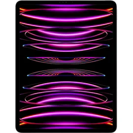 Apple iPad Pro 12,9" (6. Generation 2022) 1 TB Wi-Fi space grau