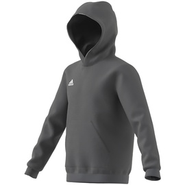 Adidas Entrada 22 Hoodie Kinder tegrfo 152