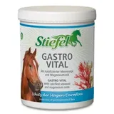 Stiefel Gastro Vital 1 kg