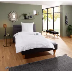 fan Microfaserbettdecke »Komfort Plus«, leicht, (1 St.), zu jeder Jahreszeit ideal für Schwitzer fan weiß B/L: 155 cm x 220 cm