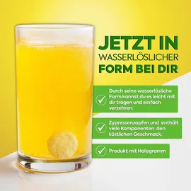 Zühre Ana Kiefernzapfen Brausetabletten 2500 mg 60 St.