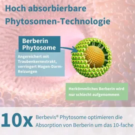 Igennus Healthcare Nutrition Fortschrittliches Berberin Phytosom 550 mg & Chrom Picolinat Kapseln 60 St.