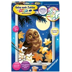 Ravensburger Malen-nach-Zahlen Eule im Mondschein mehrfarbig