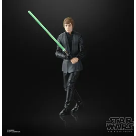 Hasbro Star Wars Actionfigur Luke Skywalker 15 cm