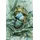 HKliving Van Gogh Kaffeebecher 0,23 l Mehrfarbig 2 St.