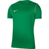Nike Dry Park 20 T-Shirt pine green/white XXL