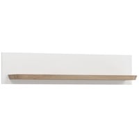 ebuy24 Wandboard Michigan