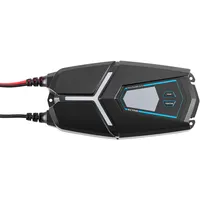 Ective Multiload 16s 16A 12/24V 9-Stufen Batterieladegerät mit Netzteilfunktion