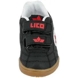 LICO Bernie V Schwarz 29
