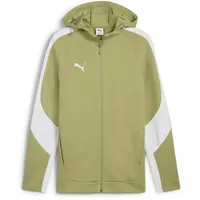 Puma teamEVOSTRIPE Hooded Jacket - L