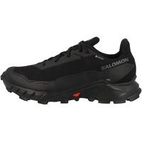 Salomon Alphacross 5 GTX schwarz 46.6