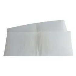 MAICO 0093.0891 Luftfilter, WSG 250 für Raumluft-System WS 250, 2 x G4 00930891