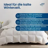 DormiGood Daunendecke 200x200 cm | Winterdecke 200x200 extra Warm | Oeko-TEX zertifizierte Federbettdecke 200x200cm | Bettdecke