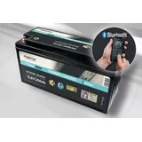 FORSTER INDIVIDUAL BATTERIES FORSTER 200Ah 12,8V LiFePO4 Thermo-Control 200A-BMS Smart Bluetooth 2560Wh