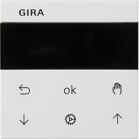 Gira Jalousie- und Schaltuhr Display System 55 Reinweiß glänzend
