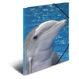 Herma Sammelmappe Tiere A3 delfin