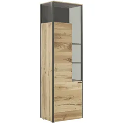 Schöner Wohnen Vitrine ANDRA - B/H/T ca. 62,00x207,00x43,00