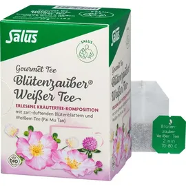 SALUS Blütenzauber Weißer Tee 15x1,8 g