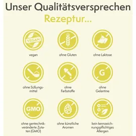 Sovita Spitzwegerich Sirup 250 ml