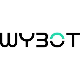 wybot C1 Silber