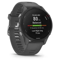 Garmin Forerunner 255 46 mm schiefergrau/schwarz