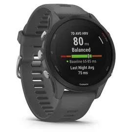Garmin Forerunner 255 46 mm schiefergrau/schwarz