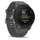 Garmin Forerunner 255 46 mm schiefergrau/schwarz