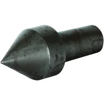 Pollmann 1040136