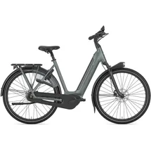 Gazelle Arroyo C8+ Elite 2025 28 Zoll RH 49 cm Damen grün