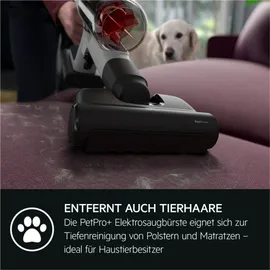 AEG Animal 8000 Akku-Staubsauger AP81AB25UG