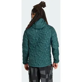 adidas Terrex Herren Xperior Primaloft Insulated Hooded Jacke (Größe S, gruen)