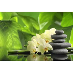 Fototapete PAPERMOON "Wellness", bunt, B:3,50m L:2,60m, Vlies, Tapeten