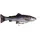 Savage Gear Angelköder 20 cm Rainbow Trout 102 g 1 St.