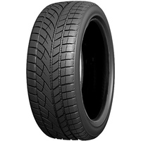 Evergreen EW66 205/50R17 89H BSW