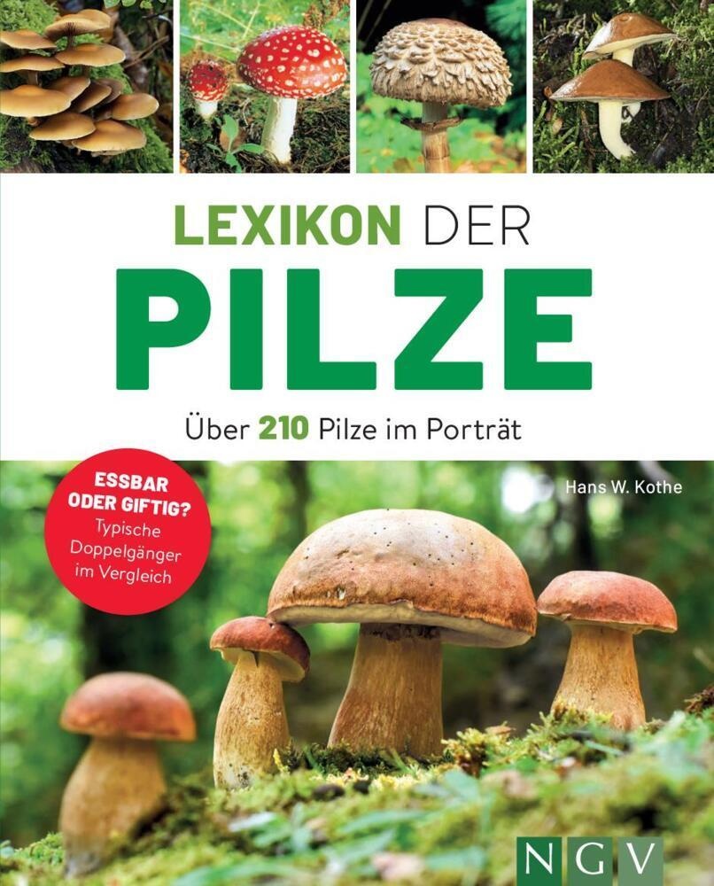Lexikon Der Pilze - Über 210 Pilze Im Porträt - Hans W. Kothe  Kartoniert (TB)