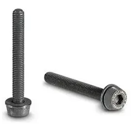 CAMPAGNOLO Schrauben für Flat Mount Bremssattel hinten 24 mm