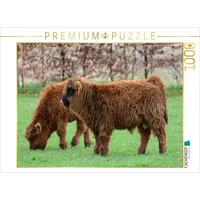 Calvendo Puzzle Der Nachwuchs bei den gällischen Rindern zieht