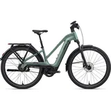 Giant Explore E+ 2 2026 29 Zoll RH 43,5 cm Damen alpine green