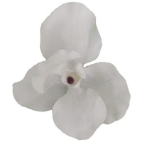Kunstblume *Seiden-Blüte Orchidee auf Metall-Clip zur individuellen Dekoration* Orchidee (Orchidaceae), 2474U, künstlich, naturgetreu, täuschend echt