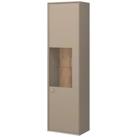Germania Standvitrine Calvi 55 x 35 x 210 cm Grau