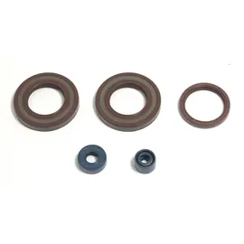 ogio brasil Dichtungsvollsatz Motor