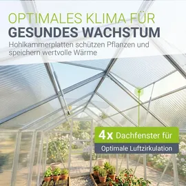 Juskys Gewächshaus Aluminium Silber HKP 4 mm 7,2 m2