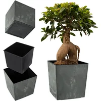 Kadax Blumentopf aus Kunststoff, 19 cm, Schwarz - KADAX