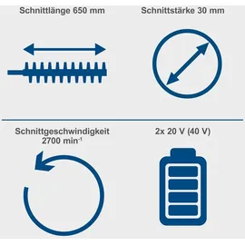 SCHEPPACH BC-HT720-X 2 x 2,0 Ah + Doppelladegerät