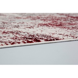 ASTRA Teppich Antea 1 (160 x 230 cm,